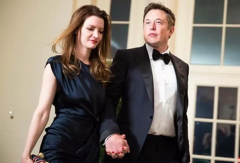 老虎机手机版 背景图